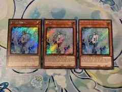 遊戯王　エフェクト・ヴェーラー　プラチナムシークレット　3枚　英語