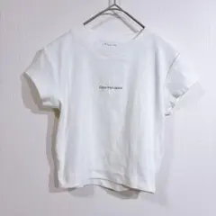 calvin klein カルバンクライン　CKロゴ　ミニTシャツ　y2k 白