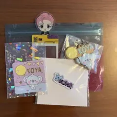 BTS RM BT21 KOYA TinyTANソンムルセット 新品