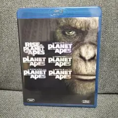 Item thumbnail for item e47ffd17-e96f-4342-add9-215ee162d218