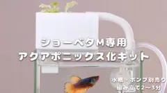 미즈사쿠 쇼베타 M용 수경재배 (아쿠아포닉) 키트