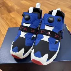 Reebok INSTAPUMP FURY BOOST