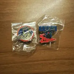 ポケモンピンズコレクション　2点