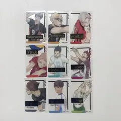 無言取引希望】ハイキュー ファンパーク 箔押しクリアカードコレクション
