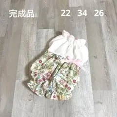 Item thumbnail for item cf8f17e9-e491-47cc-aa0f-3f9f38d2236b