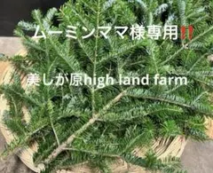 キューピー様 リクエスト 2点 まとめ商品