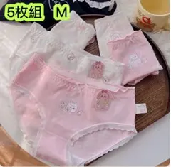 5枚組M160高校生ショーツ ジュニア 綿100% レディース下着　第291号