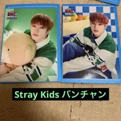 Stray Kids トレーディングカード　バンチャン　2枚セット
