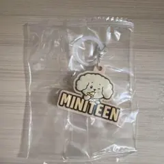SEVENTEEN miniteen ガチャ めじるしアクセサリー　ドギョム