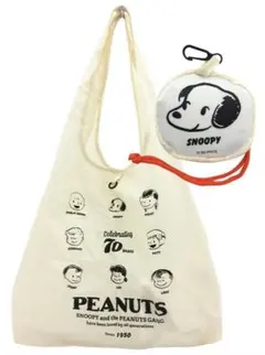 Item thumbnail for item 001a4634-a1be-4e37-8e8e-25015bee9253