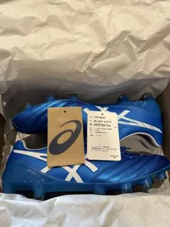 [希少旧モデル/新品未使用] ASICS DSLIGHTX-FLY 5 27cmのサムネイル