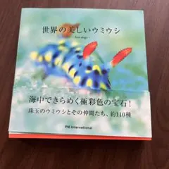 クーちゃん様 リクエスト 2点 まとめ商品