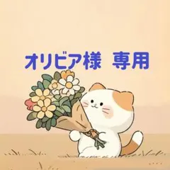 オリビア様　専用(12/4迄)