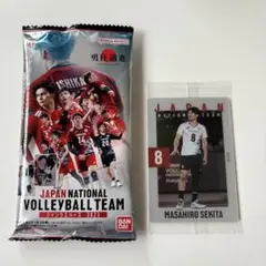 バレーボール　ツインウエハース2025 関田誠大