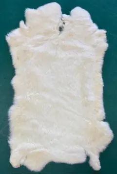 Item thumbnail for item 353e7d3c-f33b-4034-9c9f-8f53ebeb7db6