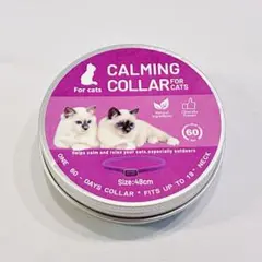 Item thumbnail for item 866427c1-6a04-4bea-b9a1-18c8a0bf8509