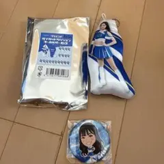 横浜DeNAベイスターズ　diana Arisa キーホルダーと缶バッジ