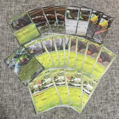 メガヤンマex/イワパレスデッキ 汎用デッキパーツセット