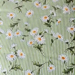 小関鈴子　Real Marguerite グリーン ストライプ　生地　YUWA