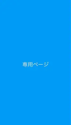 はるゆう様専用ページ
