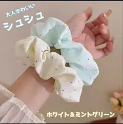 シフォンシュシュ ビジュー付き オフホワイト 春 淡色 韓国 大人可愛い