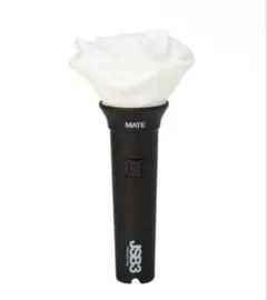 三代目JSB Official MATE Light Stick ペンライトのサムネイル