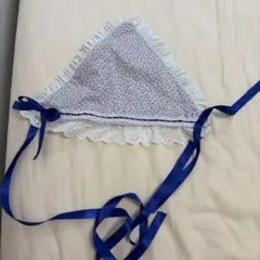 Item thumbnail for item 93b79e9b-a12a-400a-b0bc-6d264998aab7