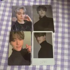 SEVENTEEN in complete ディノ トレカ