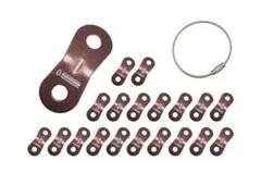 Item thumbnail for item dfd7f976-ce9f-45d0-9b67-cb67111a29a3