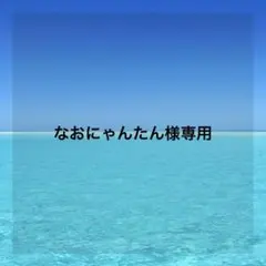 なおにゃんたん様専用ページ