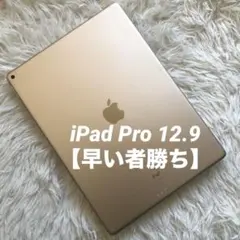 ipadpro12.9