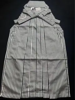 Item thumbnail for item 5244496d-bd8c-4790-896d-a3f8fef0716c