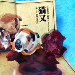 Item thumbnail for item b8362734-c58b-4faa-81cb-bc8594802e22