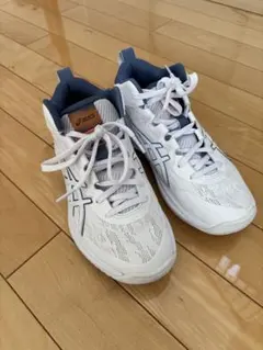 asics GELHOOP V17 STANDARD バスケシューズ 23cm