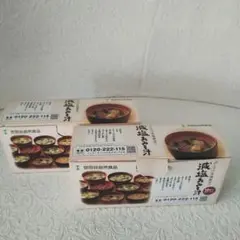 世田谷食品　減塩　味噌汁セット 10食入り　二箱