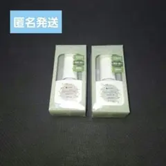 新品 ネイル工房 ボタニカルマグネット 08 11 2本セット