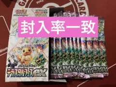 テラスタルフェス10パック