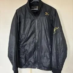 Item thumbnail for item 90f24f13-321a-40b1-88a2-abba97ec3a4b