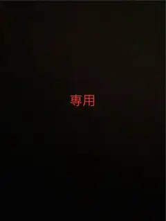 _様 専用