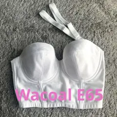 ワコール　ブライダルインナー　E65 2025年最新】ワコールブライダルインナー e65の人気アイテム - メルカリ