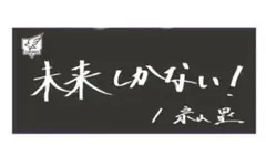 東北楽天ゴールデンイーグルス宗山塁選手手書きファンクラブタオル 2025年最新】宗山塁 タオルの人気アイテム - メルカリ