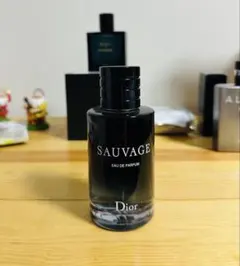 Dior SAUVAGE Eau de Parfum 100ml
