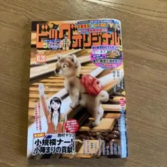 ビッグコミックオリジナル 2026年10月20日号