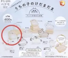 うちの子のけだまだま　柴犬