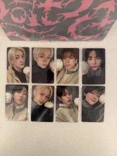 スキズ do it FANS 特典リスパ 8種コンプ stray kids