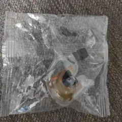 酔いスキー 酩酊ボトル