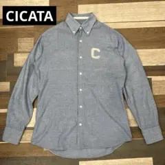 日本製【CICATA】シカタ　美品　ボタンダウン　ダンガリー　ネップ