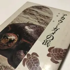 Item thumbnail for item d121587d-5851-4af1-a25a-c306b64a1991