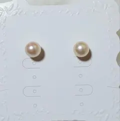 Item thumbnail for item f8046283-d3e8-4a1f-9dd2-4074364f7727