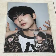 ジュニル トレカ コンプ セット 17枚 ボイプラ2 アーカイブ展 ボイプラ2 ポップアップ アーカイブ展 韓国 week1 week2 トレカ タレントカード